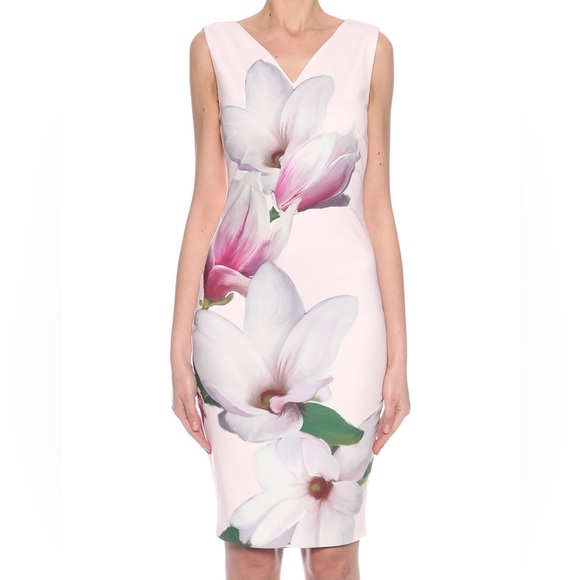 Ted Baker London Women’s Blush and White Floral Midi Dress Size 2 - Picture 1 of 12